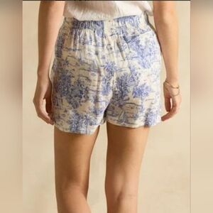 Light Blue Toile Print Women's Elastic Waist Shorts